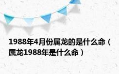 1988年4月份属龙的是什么命（属龙1988年是什么命）