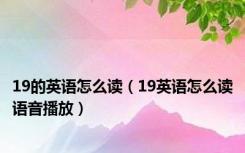 19的英语怎么读（19英语怎么读语音播放）