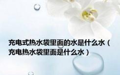 充电式热水袋里面的水是什么水（充电热水袋里面是什么水）