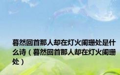 暮然回首那人却在灯火阑珊处是什么诗（暮然回首那人却在灯火阑珊处）