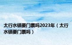 太行水镇要门票吗2023年（太行水镇要门票吗）