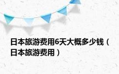 日本旅游费用6天大概多少钱（日本旅游费用）