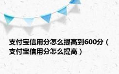 支付宝信用分怎么提高到600分（支付宝信用分怎么提高）