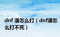 dnf 潘怎么打（dnf潘怎么打不死）