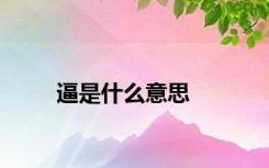 逼是什么意思