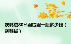 灰鸭绒80%羽绒服一般多少钱（灰鸭绒）