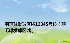 羽毛球发球区域12345号位（羽毛球发球区域）