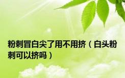 粉刺冒白尖了用不用挤（白头粉刺可以挤吗）