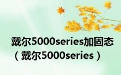 戴尔5000series加固态（戴尔5000series）