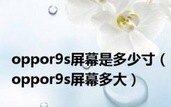 oppor9s屏幕是多少寸（oppor9s屏幕多大）