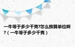 一牛等于多少千克?怎么换算单位啊?（一牛等于多少千克）