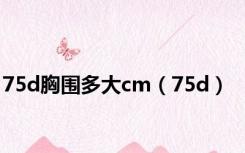 75d胸围多大cm（75d）