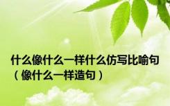 什么像什么一样什么仿写比喻句（像什么一样造句）