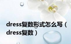 dress复数形式怎么写（dress复数）