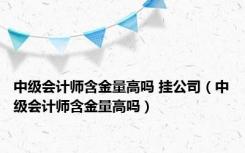 中级会计师含金量高吗 挂公司（中级会计师含金量高吗）