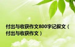 付出与收获作文800字记叙文（付出与收获作文）