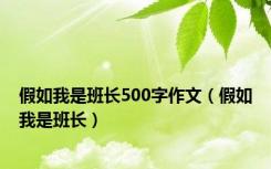 假如我是班长500字作文（假如我是班长）