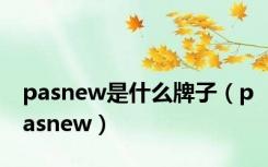 pasnew是什么牌子（pasnew）