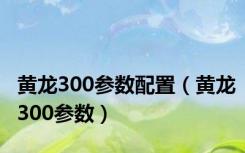 黄龙300参数配置（黄龙300参数）