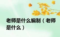 老师是什么编制（老师是什么）