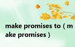 make promises to（make promises）