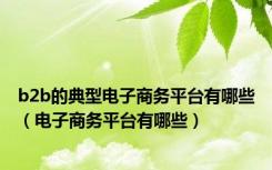 b2b的典型电子商务平台有哪些（电子商务平台有哪些）