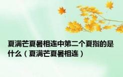 夏满芒夏暑相连中第二个夏指的是什么（夏满芒夏暑相连）