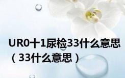 UR0十1尿检33什么意思（33什么意思）