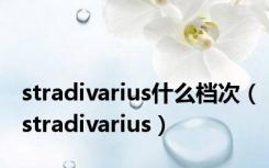 stradivarius什么档次（stradivarius）