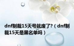 dnf制裁15天号就废了?（dnf制裁15天是黑名单吗）