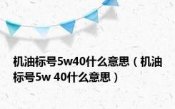 机油标号5w40什么意思（机油标号5w 40什么意思）