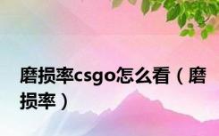 磨损率csgo怎么看（磨损率）