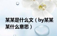 某某是什么文（by某某某什么意思）