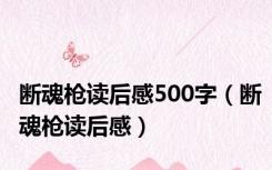 断魂枪读后感500字（断魂枪读后感）