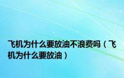 飞机为什么要放油不浪费吗（飞机为什么要放油）