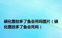 硝化菌放多了鱼会死吗图片（硝化菌放多了鱼会死吗）