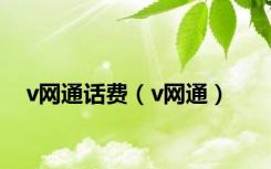 v网通话费（v网通）