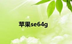 苹果se64g