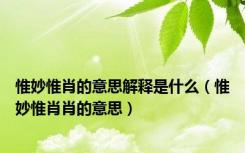 惟妙惟肖的意思解释是什么（惟妙惟肖肖的意思）