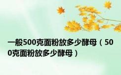 一般500克面粉放多少酵母（500克面粉放多少酵母）