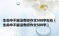 生命中不能没有你作文500字左右（生命中不能没有你作文500字）