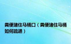 粪便堵住马桶口（粪便堵住马桶如何疏通）