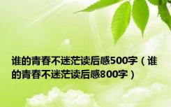 谁的青春不迷茫读后感500字（谁的青春不迷茫读后感800字）