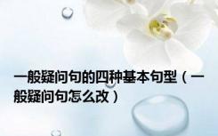 一般疑问句的四种基本句型（一般疑问句怎么改）