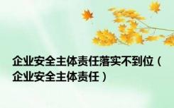 企业安全主体责任落实不到位（企业安全主体责任）