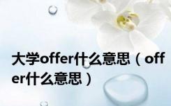 大学offer什么意思（offer什么意思）