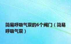 简易呼吸气囊的6个阀门（简易呼吸气囊）