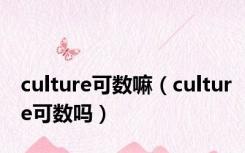 culture可数嘛（culture可数吗）