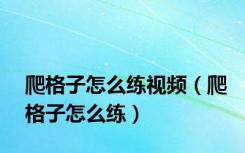 爬格子怎么练视频（爬格子怎么练）