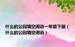 什么的公园填空词语一年级下册（什么的公园填空词语）